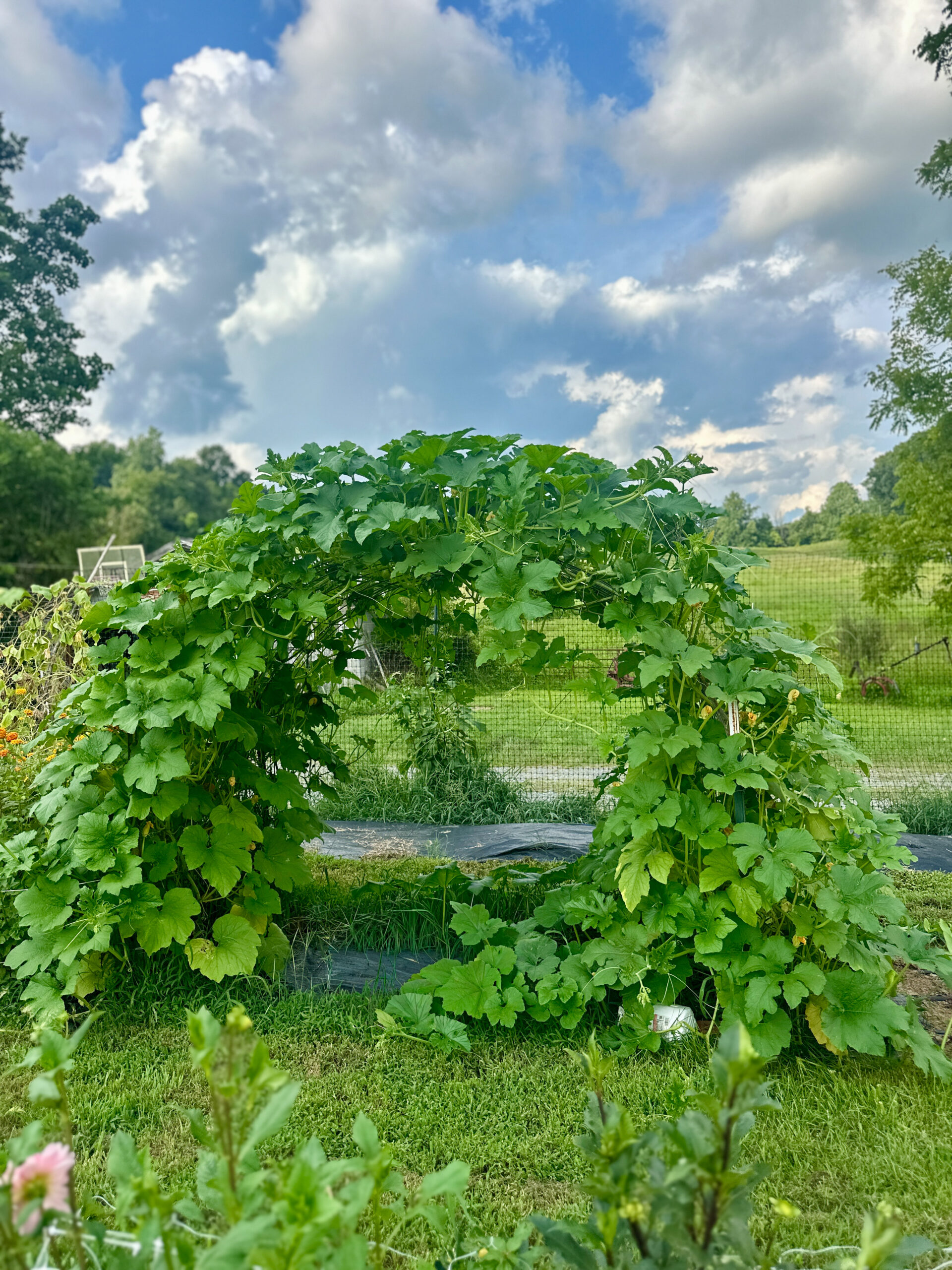 FARM TOUR/U-Pick, August 20, 6-8 pm - Image 8