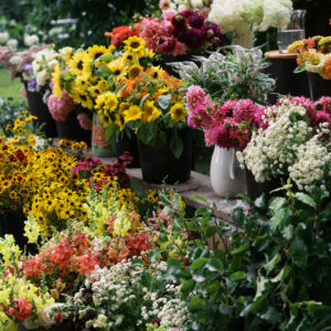 Grow Your Own Cut Flower Garden  - Thurs April 9, 5:30-7:30 pm