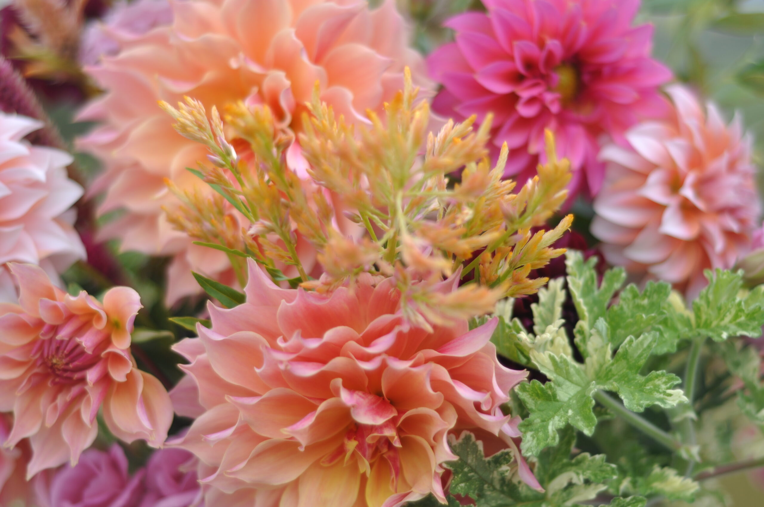 Fall  Bouquets,  Tuesday, Oct 21, After Noon - Image 5