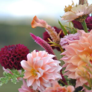 Farm Tour/U-Pick, Sept 10, 10 am-noon SOLD OUT!