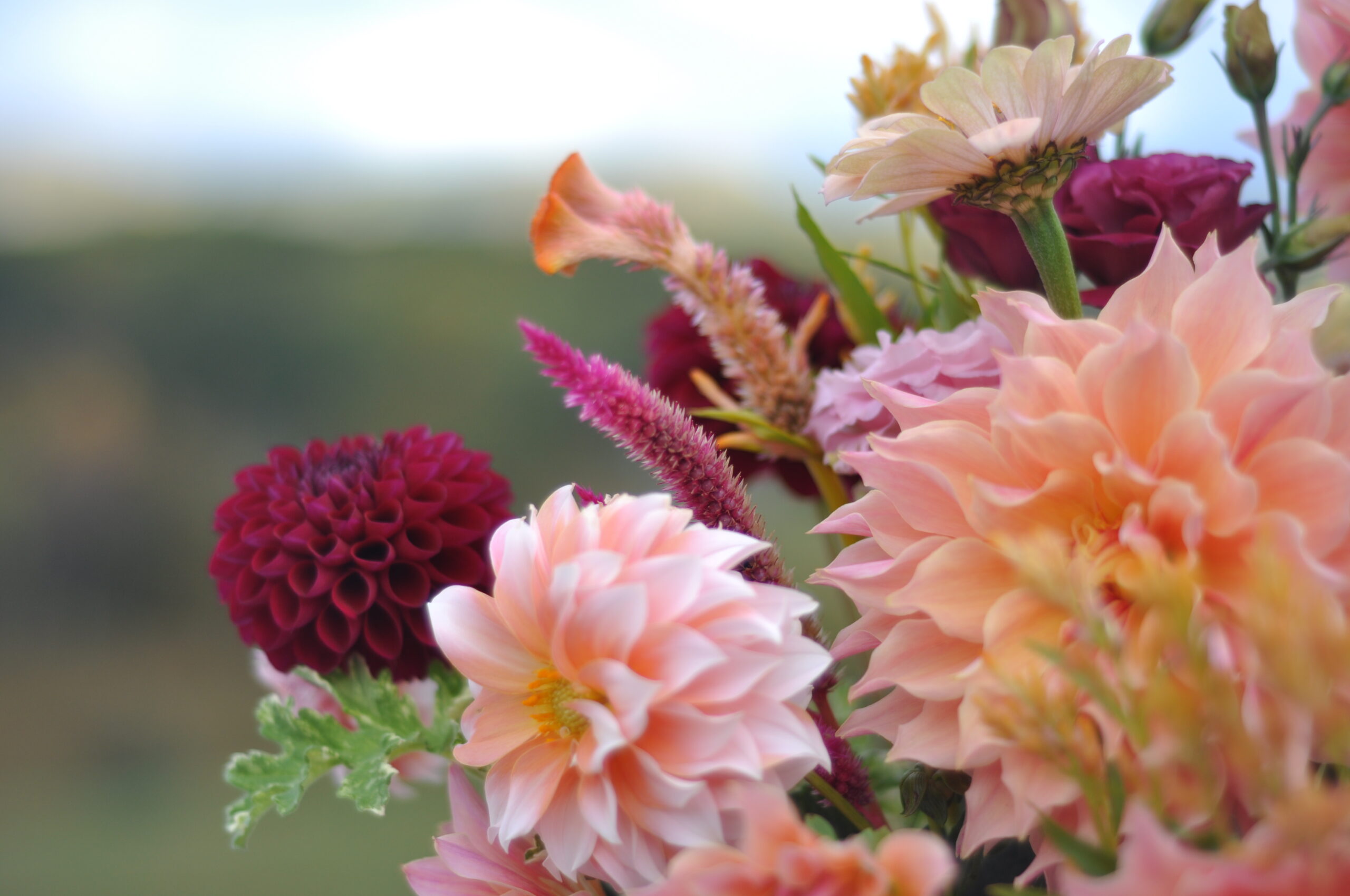 Fall  Bouquets,  Tuesday, Oct 21, After Noon - Image 4