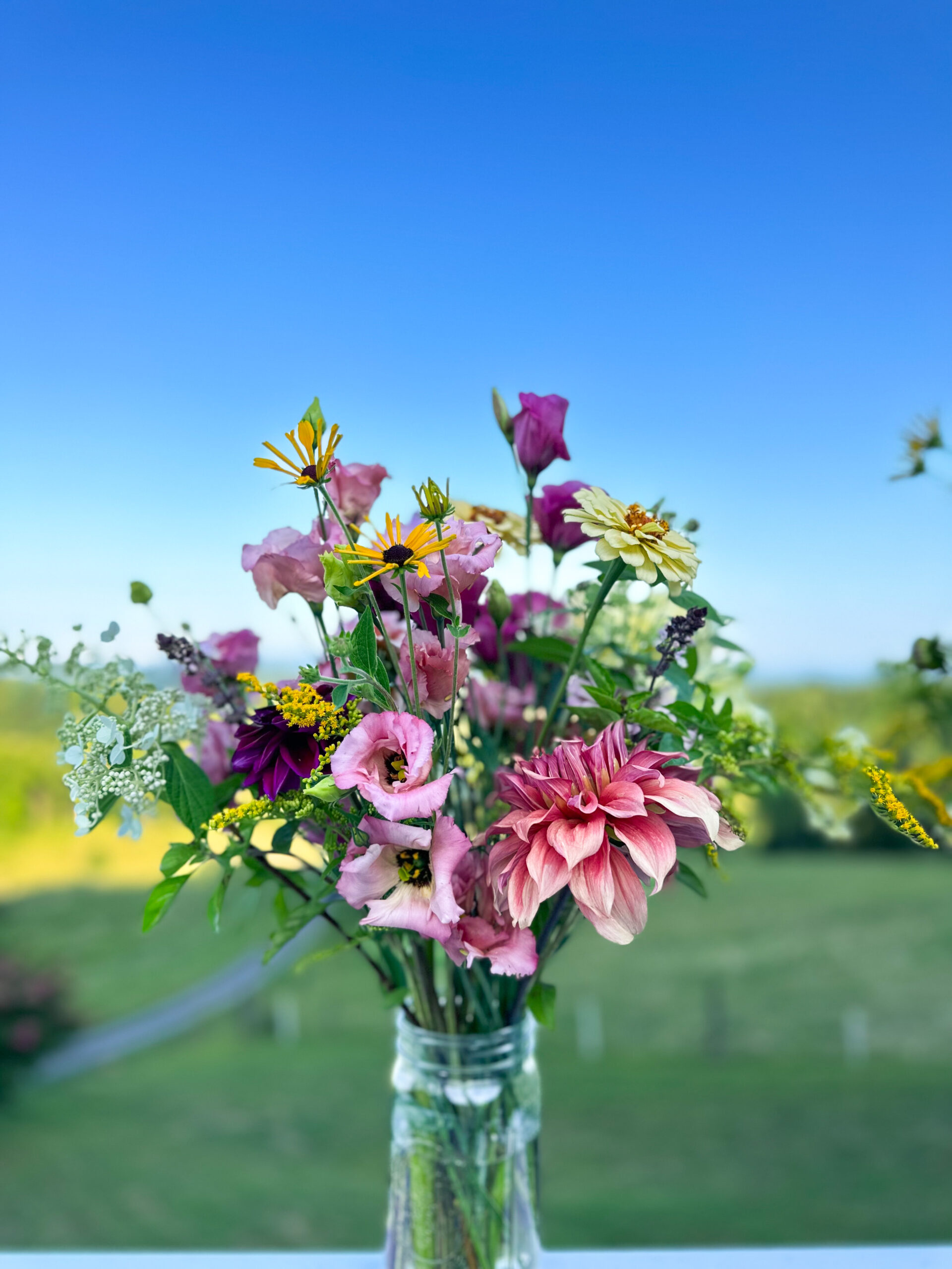 Farm Tour/U-Pick, Sept 19, 10 am-Noon - Image 12