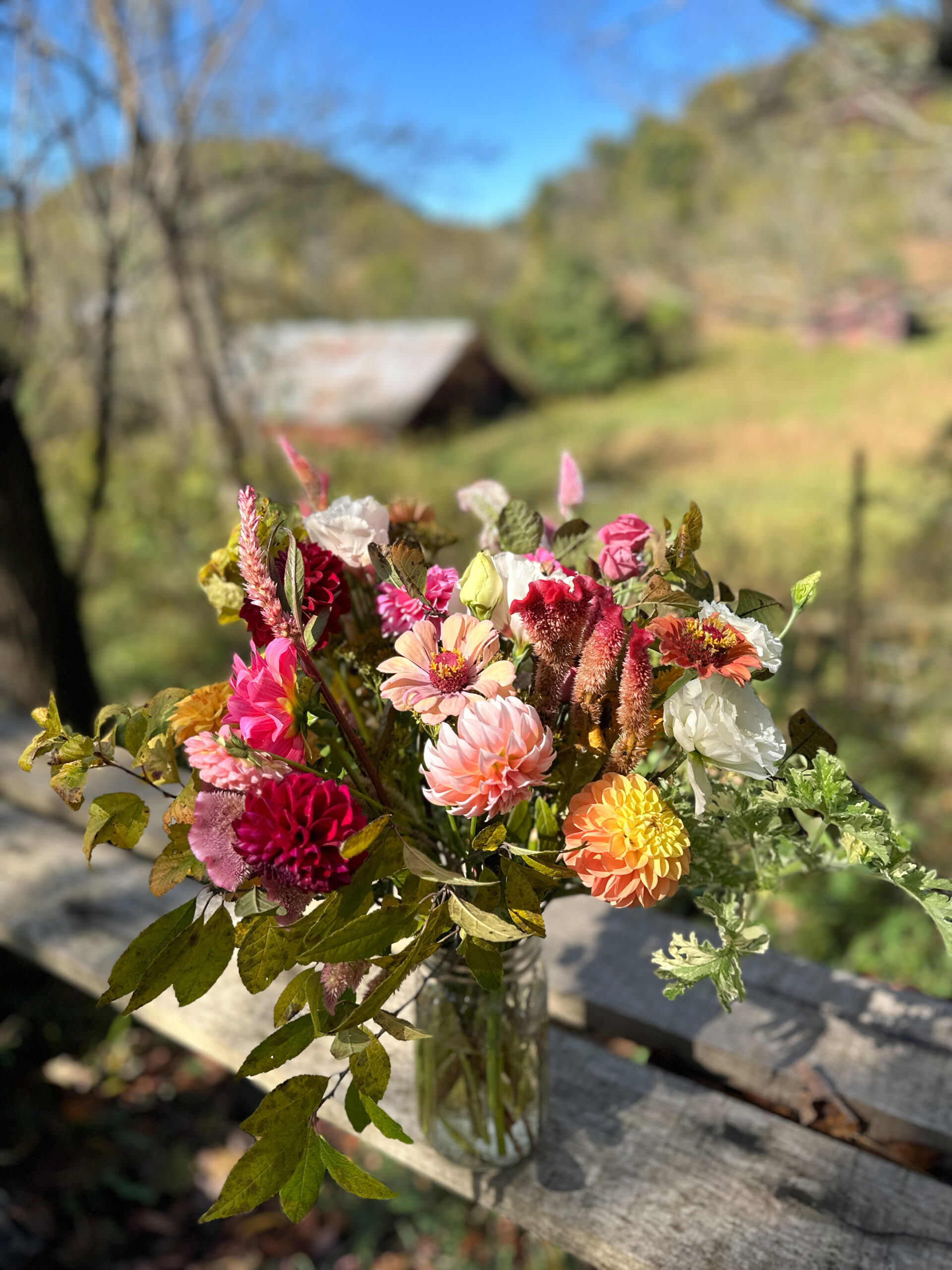 Fall  Bouquets,  Tuesday, Oct 21, After Noon - Image 3